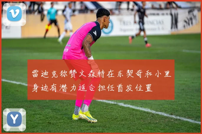 雷迪克称赞文森特在东契奇和小里身边有潜力适合担任首发位置