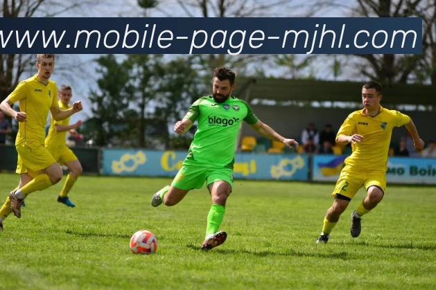 麻将胡了平台生态图